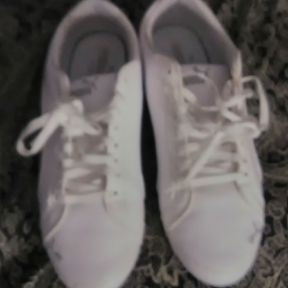 Pumas - Picture 2 of 4